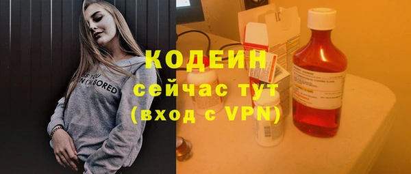 таблы Осинники