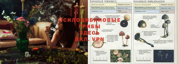 каннабис Осташков