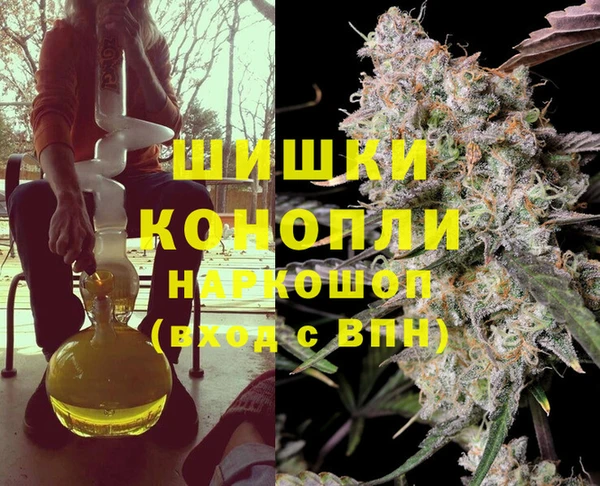 индика Остров